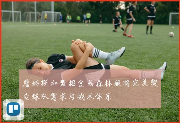 詹姆斯加盟掘金或森林狼将完美契合球队需求与战术体系