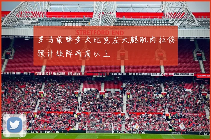 罗马前锋多夫比克左大腿肌肉拉伤预计缺阵两周以上